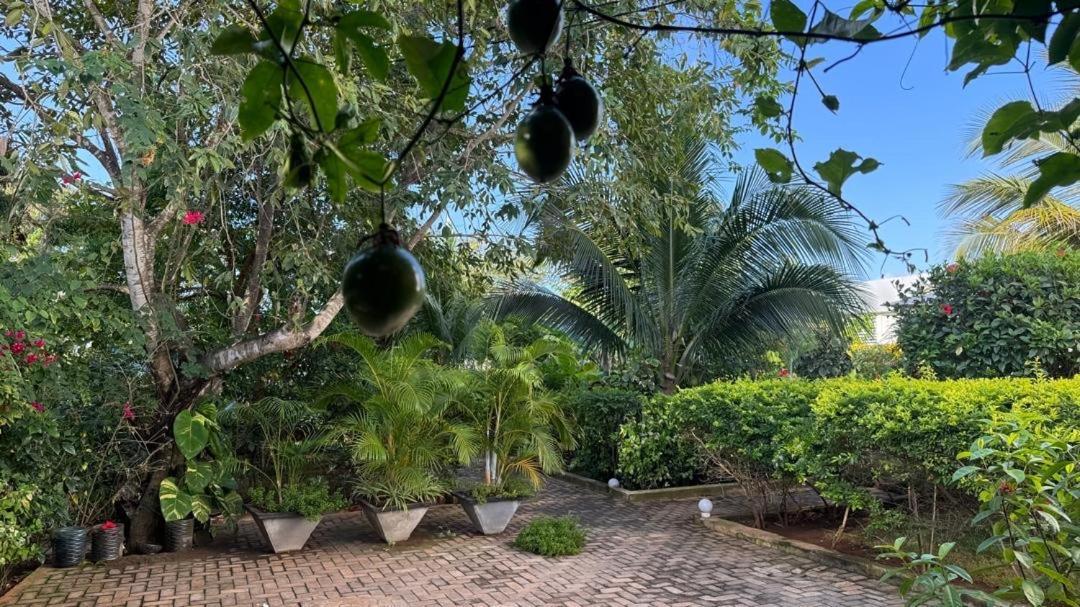 Minah Bungalows Nungwi Extérieur photo